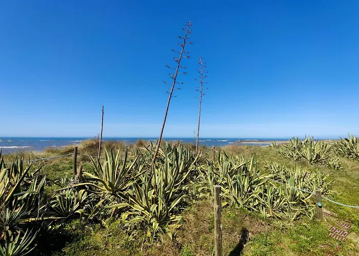 Daire Pe Na Duna - Beachfront *