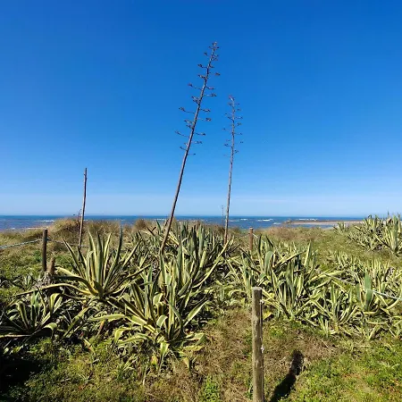 公寓 Pe Na Duna - Beachfront *